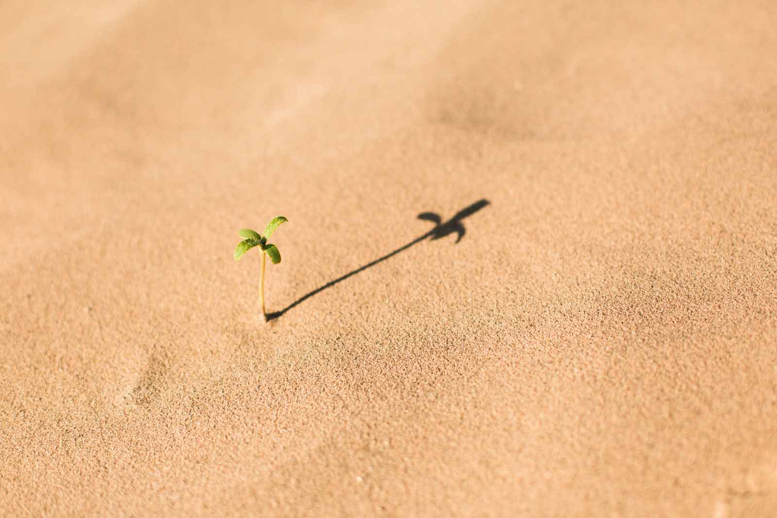 Foto di Evan Kirby